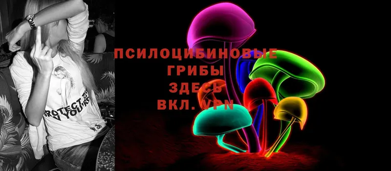 закладка  Ялта  Галлюциногенные грибы Psilocybe 